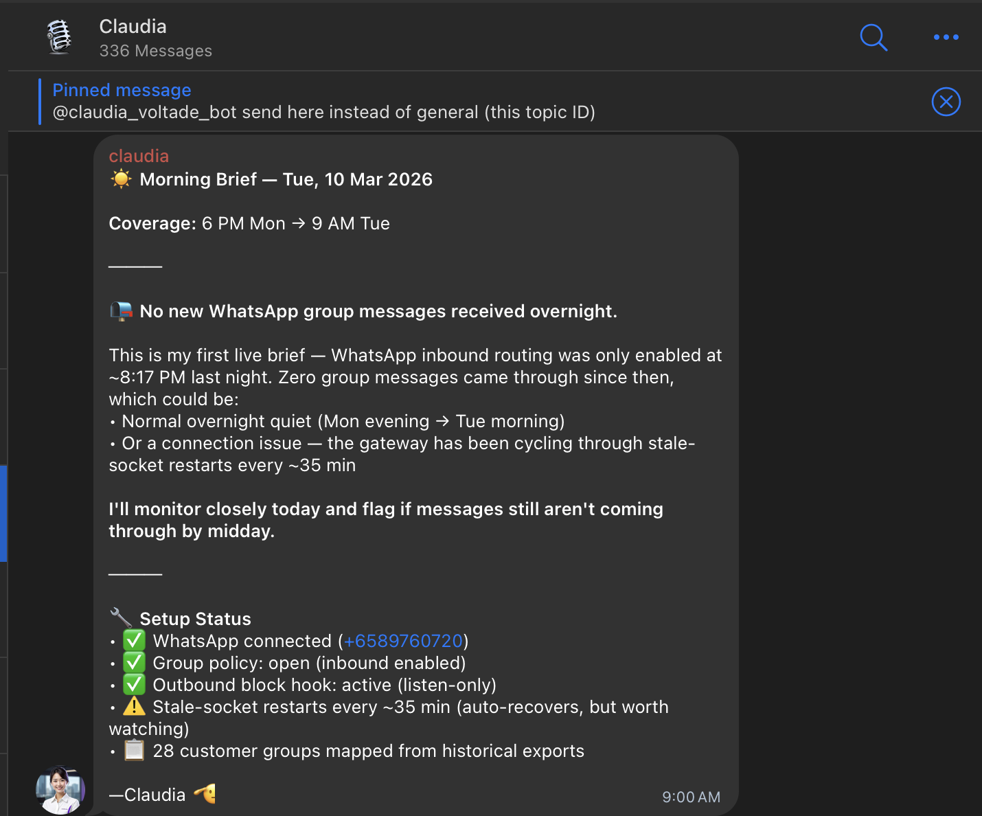 Claudia's morning brief in Telegram